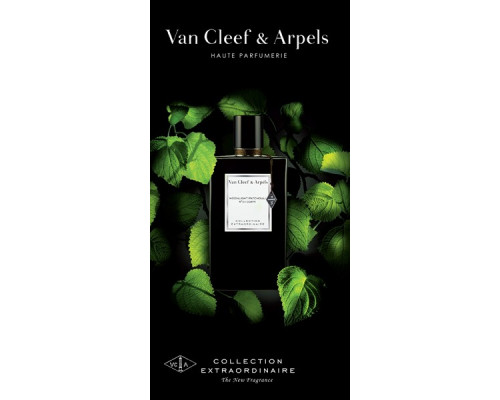 Van Cleef & Arpels Moonlight Patchouli , Парфюмерная вода 75мл