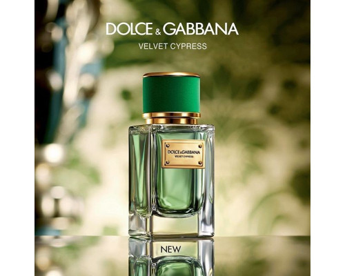 Dolce & Gabbana Velvet Cypress , Парфюмерная вода 50 мл (тестер)