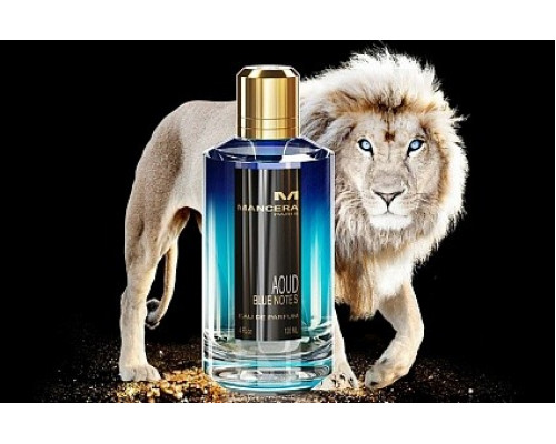 Mancera Aoud Blue Notes , Парфюмерная вода 120 мл