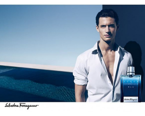 Salvatore Ferragamo Acqua Essenziale Blu , Туалетная вода 100мл