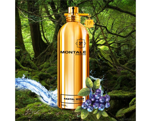 Montale Santal Wood , Парфюмерная вода 100 мл