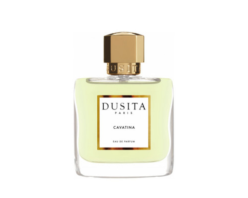 Parfums Dusita Cavatina , Парфюмерная вода 50 мл (тестер)