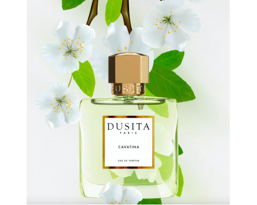 Parfums Dusita Cavatina , Парфюмерная вода 50 мл (тестер)