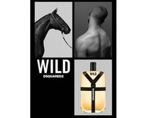 Dsquared 2 Wild , Туалетная вода 100 мл (тестер)