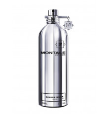 Montale Ginger Musk , Парфюмерная вода 100 мл (тестер)