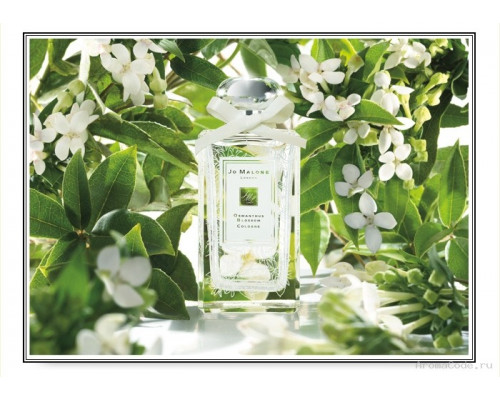 Jo Malone Osmanthus Blossom , Одеколон 100мл