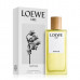 Loewe Aire Fantasía , Туалетная вода 50мл