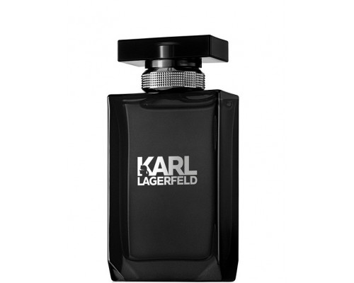 Karl Lagerfeld for Him , Туалетная вода 100мл (тестер)