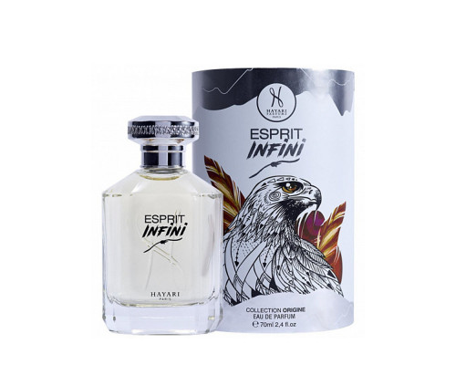 Hayari Parfums Espirit Infini , Парфюмерная вода 70мл (тестер)